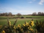 Countryside views